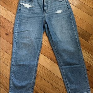 American Eagle Outfitters Light Blue Distressed Ankle Jeans